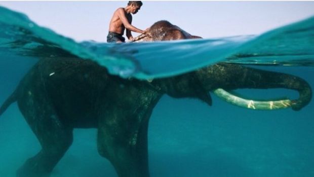 IMG-20151113-WA0014.jpg image