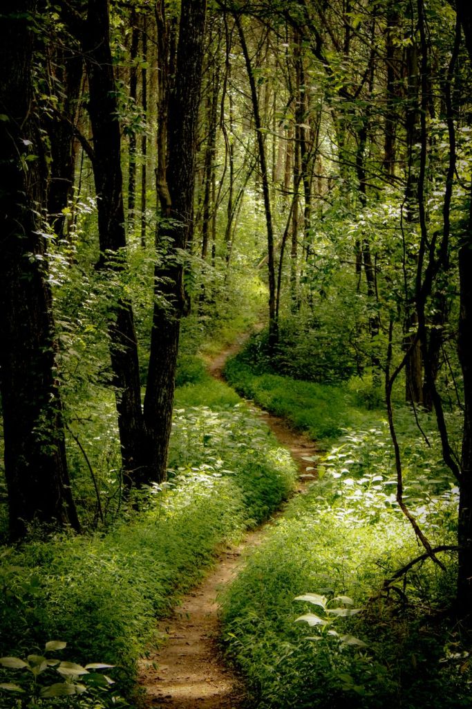 The Highway of&nbsp;God